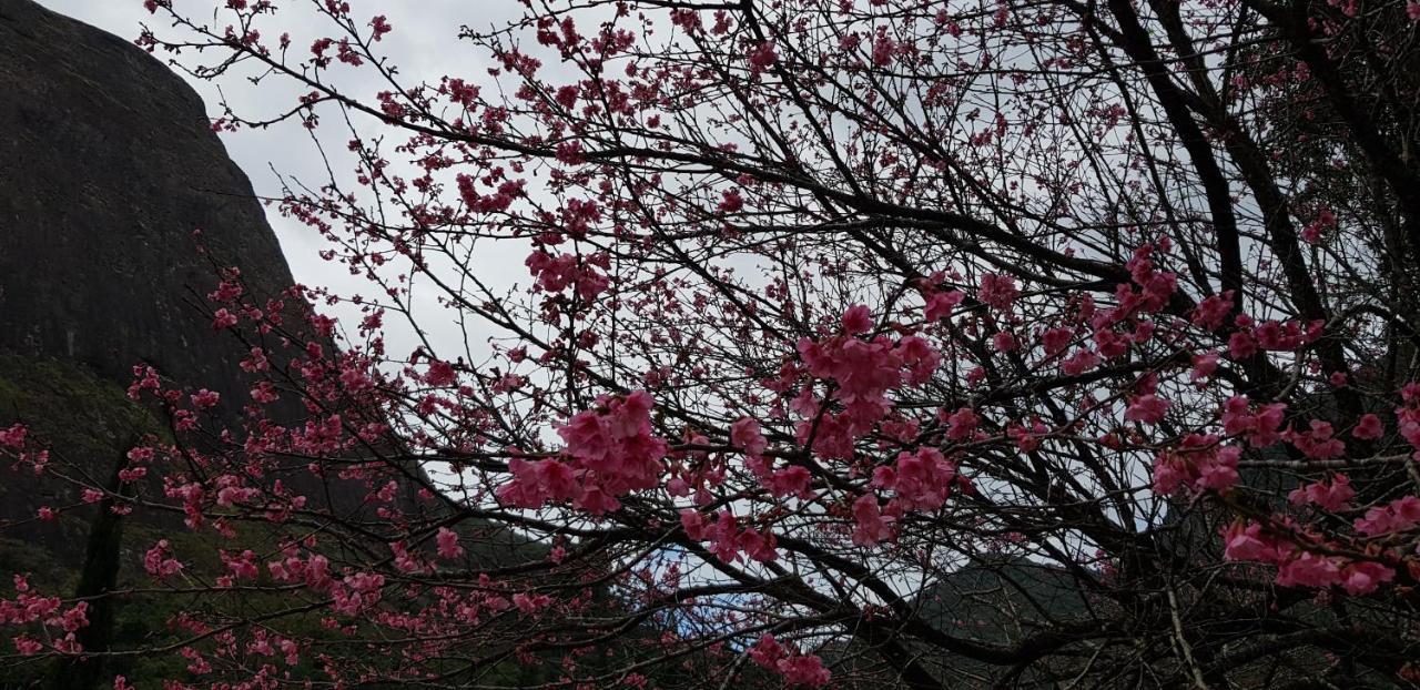 PetrópolisChale Rosa Do Vale别墅 外观 照片